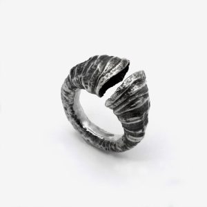 Bague coquillage fossilisé