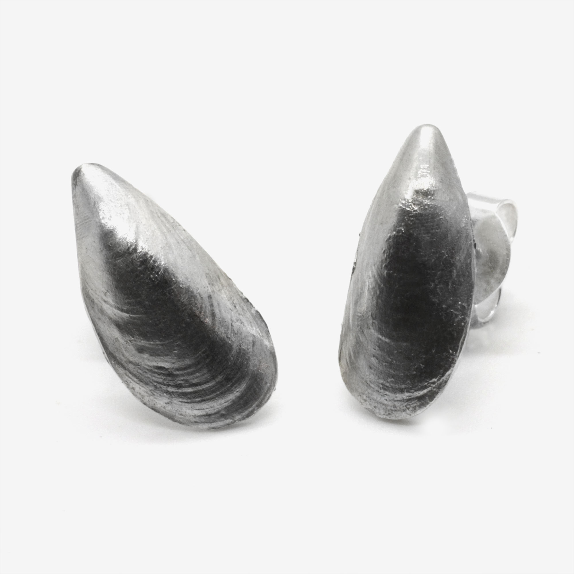 Clous coquilles de moule