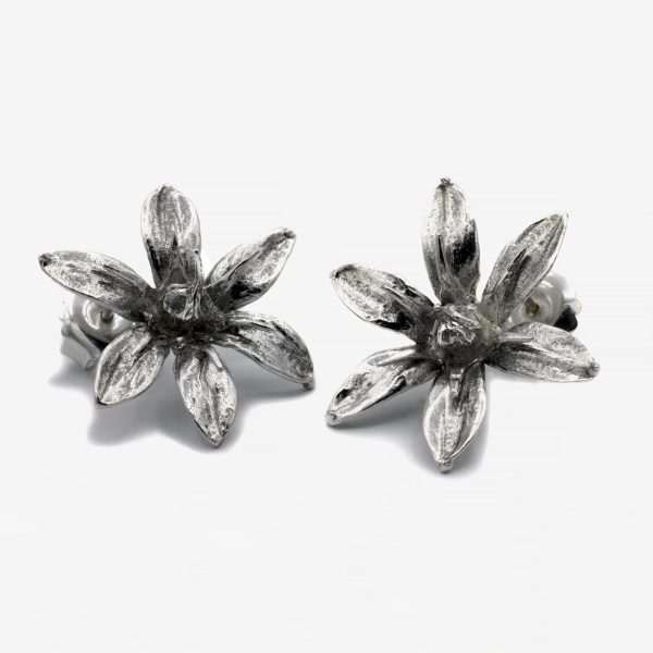 Clous "Tarann" – Image 4